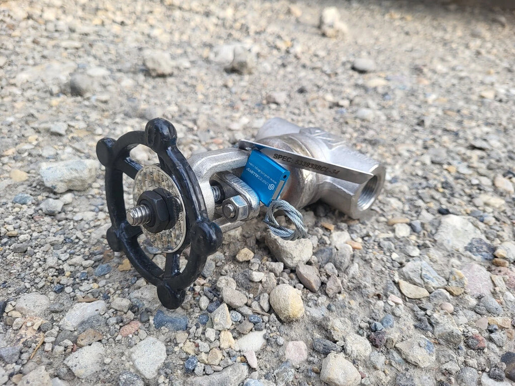 CHAODA VALVES GROUP 3/4" Class 800 Gate Valve API 602