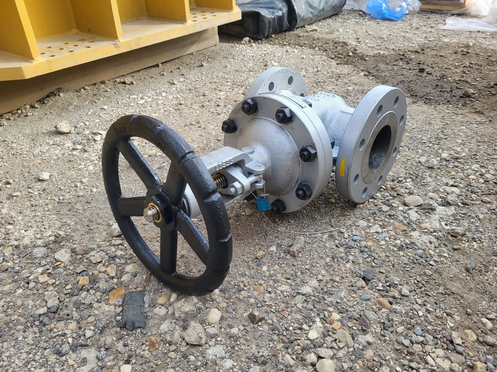 DHV 4" Class 300 Gate Valve B16.34