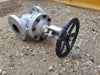 DHV 4" Class 300 Gate Valve B16.34