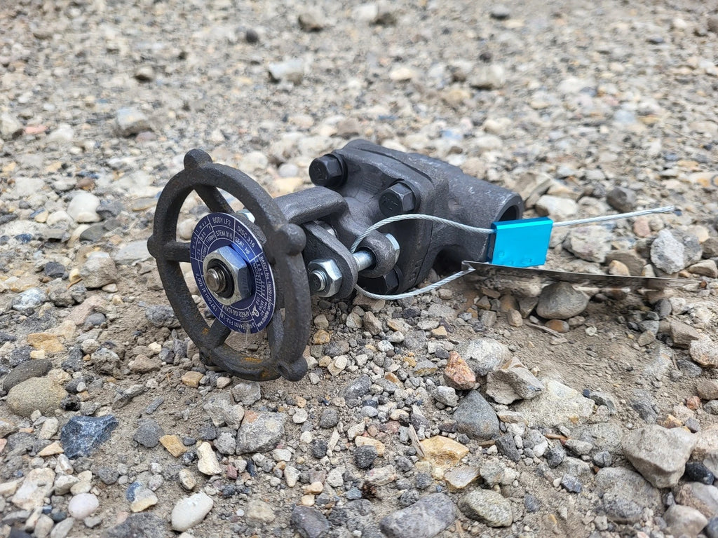 DSI 3/4" Class 800 Gate Valve API 602