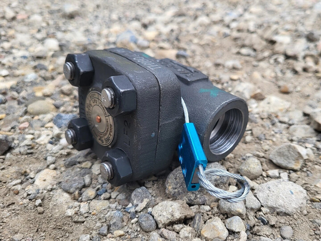 DHV 3/4" Class 800 Check Valve API 602