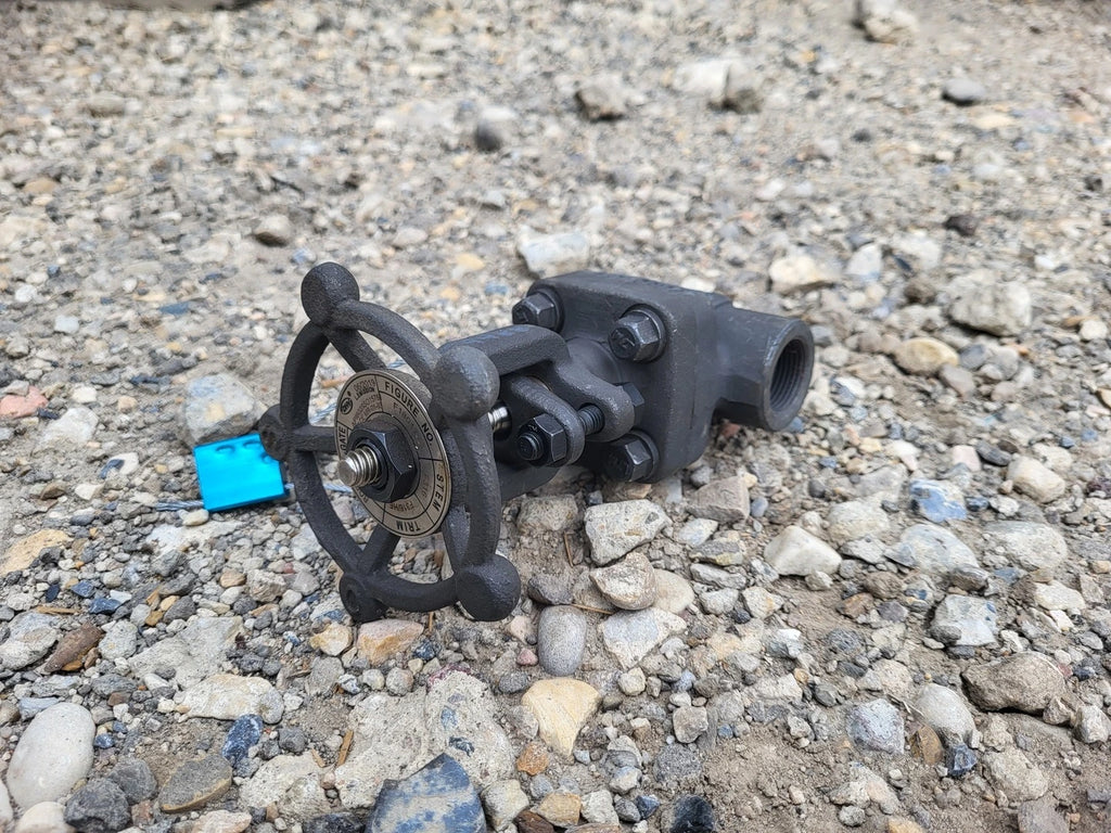 DHV 3/4" Class 800 Gate Valve API 602