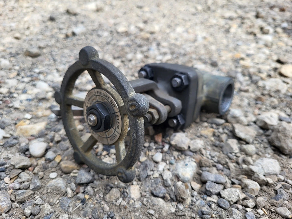 DHV 1" Class 800 Gate Valve API 602