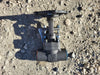 DSI VALVES 1" Class 800 Gate Valve API 602