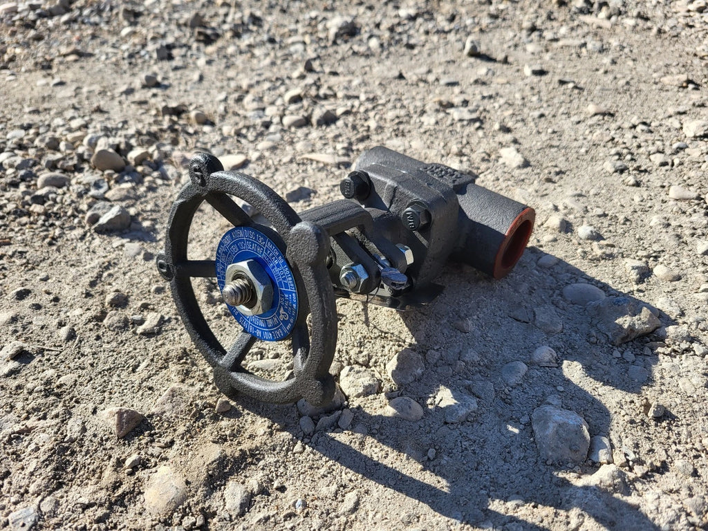 DSI VALVES 1" Class 800 Gate Valve API 602