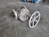 NEWAY 3" Class 300 Gate Valve 