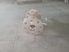 SUN VALVE INC 3" x 2" Class 300 Ball Valve B16.34