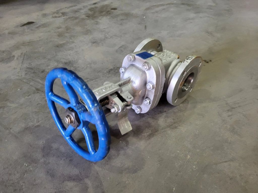 DSI 3" Class 150 Gate Valve B16.34