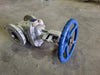 DSI 3" Class 150 Gate Valve B16.34