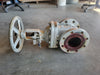 DHV 4" Class 150 Gate Valve B16.34