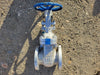 DSI VALVE 4" Class 150 Gate Valve B16.34