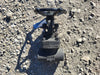 DSI VALVE 1/2" Class 800 Gate Valve API 602