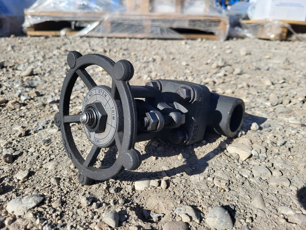 DHV 1" Class 800 Gate Valve API 602