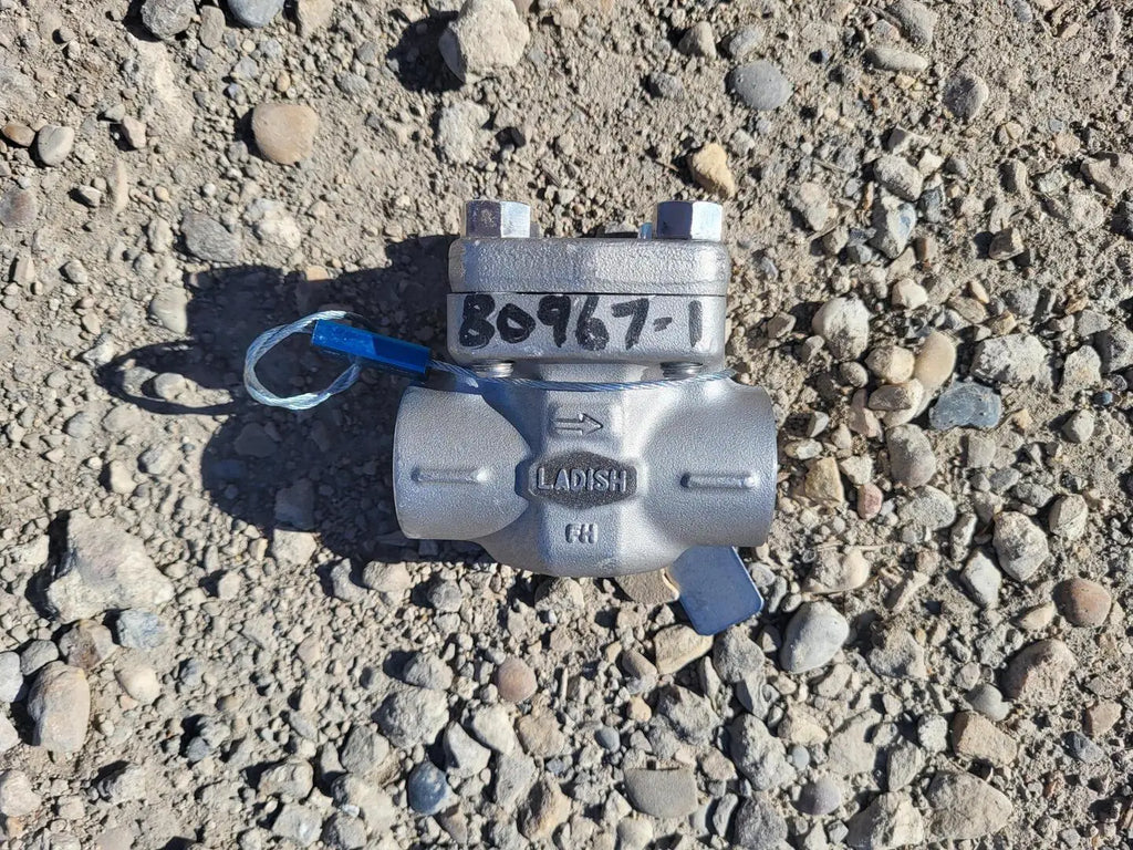 LADISH 3/4" Class 800 Lift Check Valve API 602