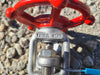 LADISH 1" Class 800 Gate Valve B16.34