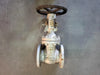 WILLIAMS VALVE CORP. 3" Class 150 Gate Valve API 600