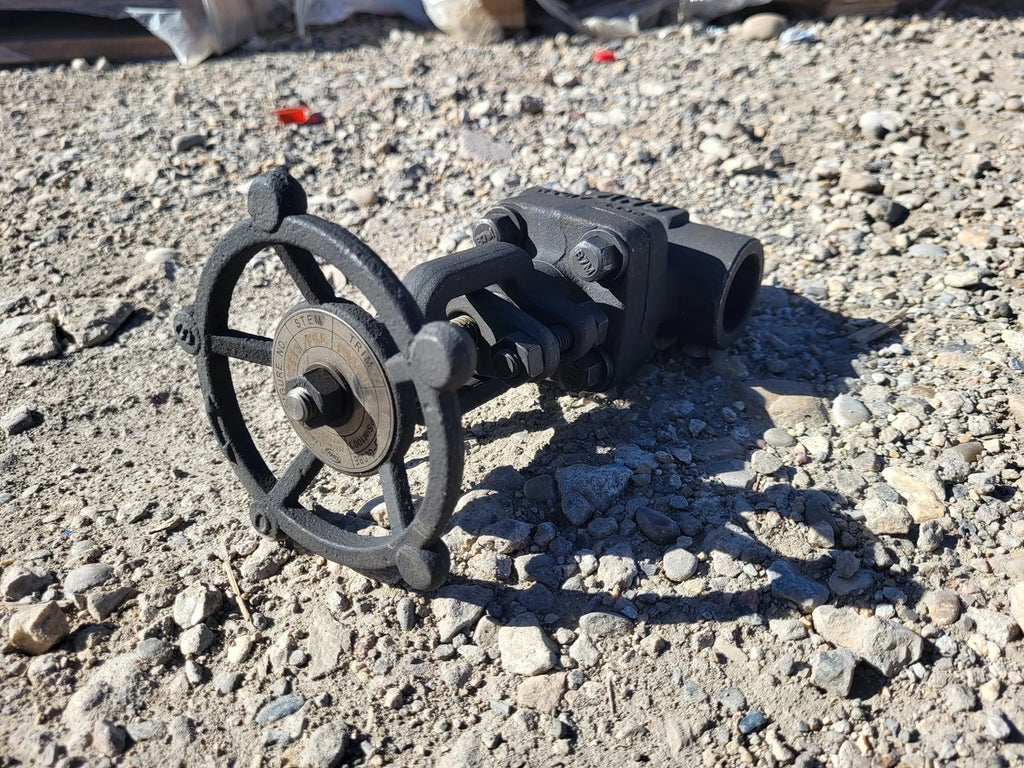 DHV 1" Class 800 Globe Valve API 602