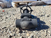 DHV 1" Class 800 Globe Valve API 602