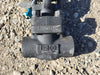 DHV 1" Class 800 Globe Valve API 602