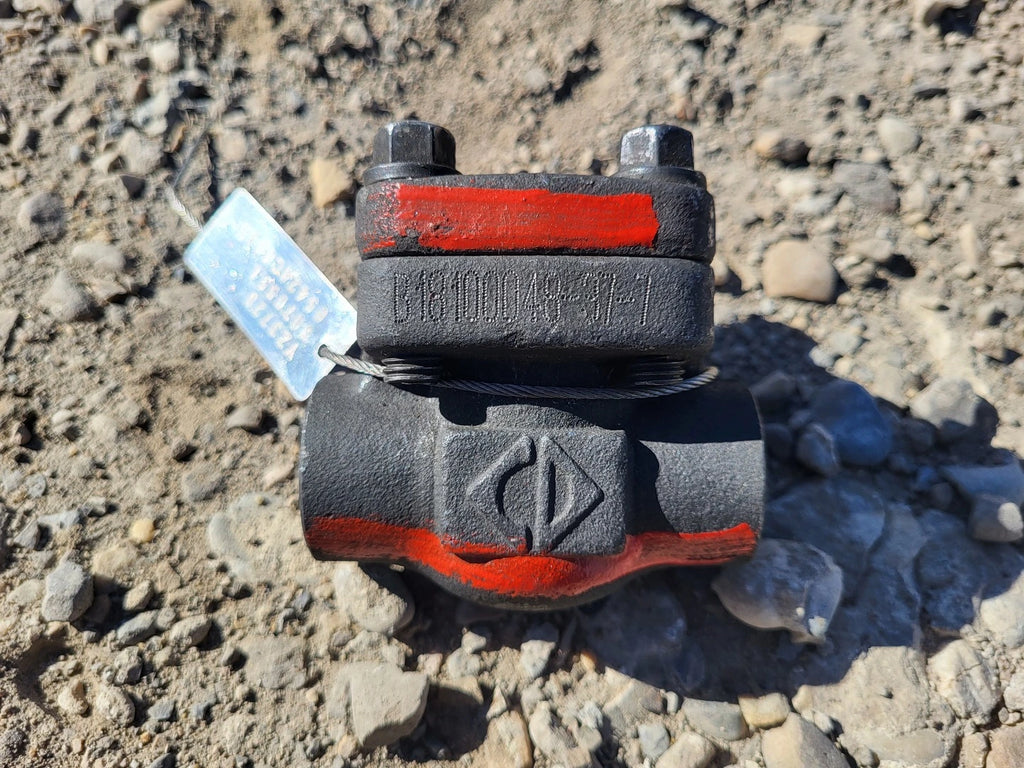 CHAODA 1/2" Class 800 Check Valve API 602