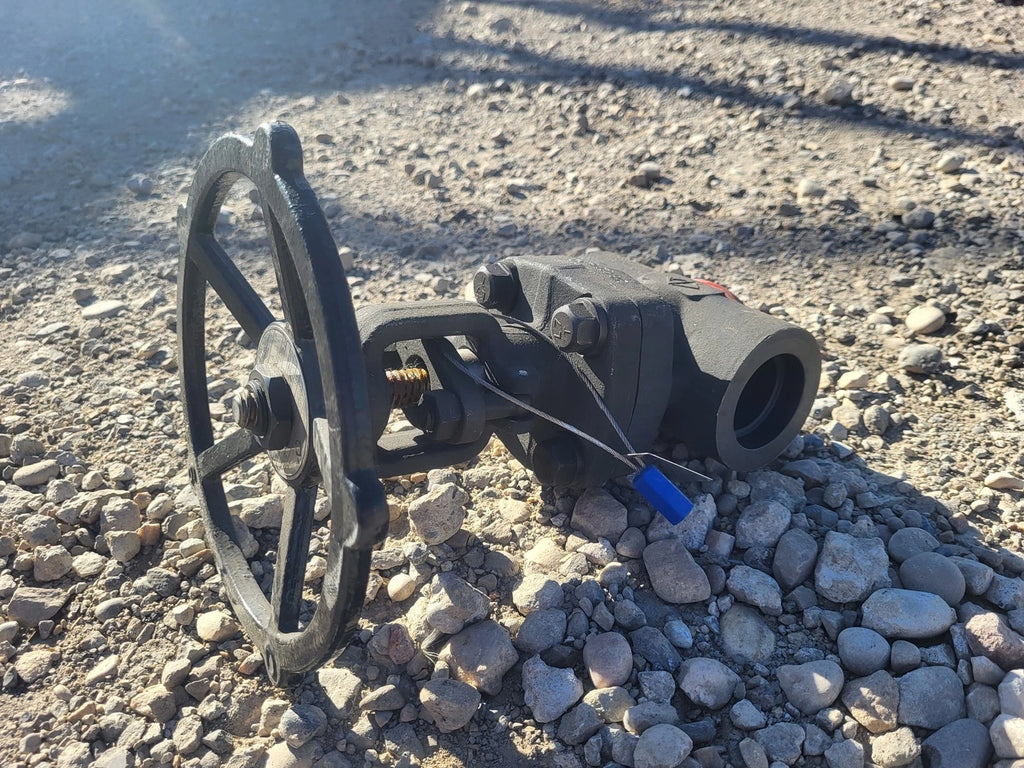 CHAODA 1 1/2" Class 800 Gate Valve API 602