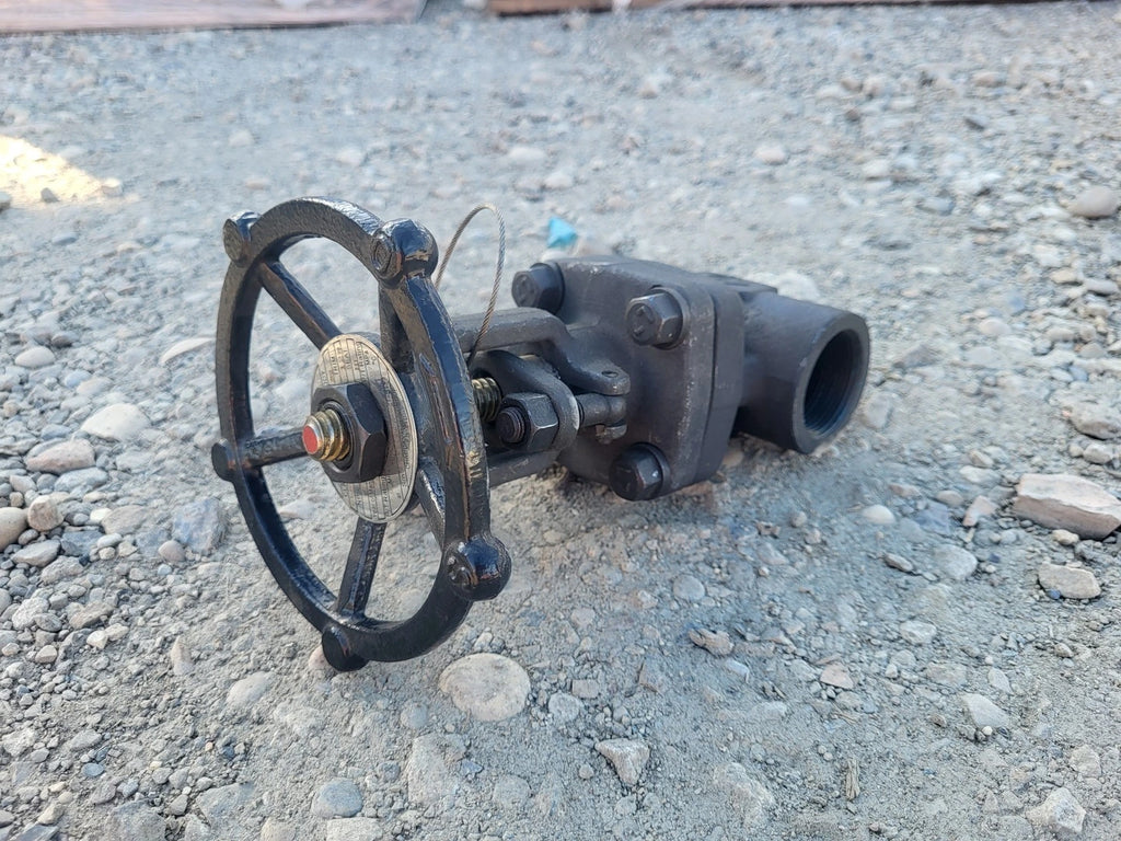 CHAODA 1 1/2" Class 800 Gate Valve API 602