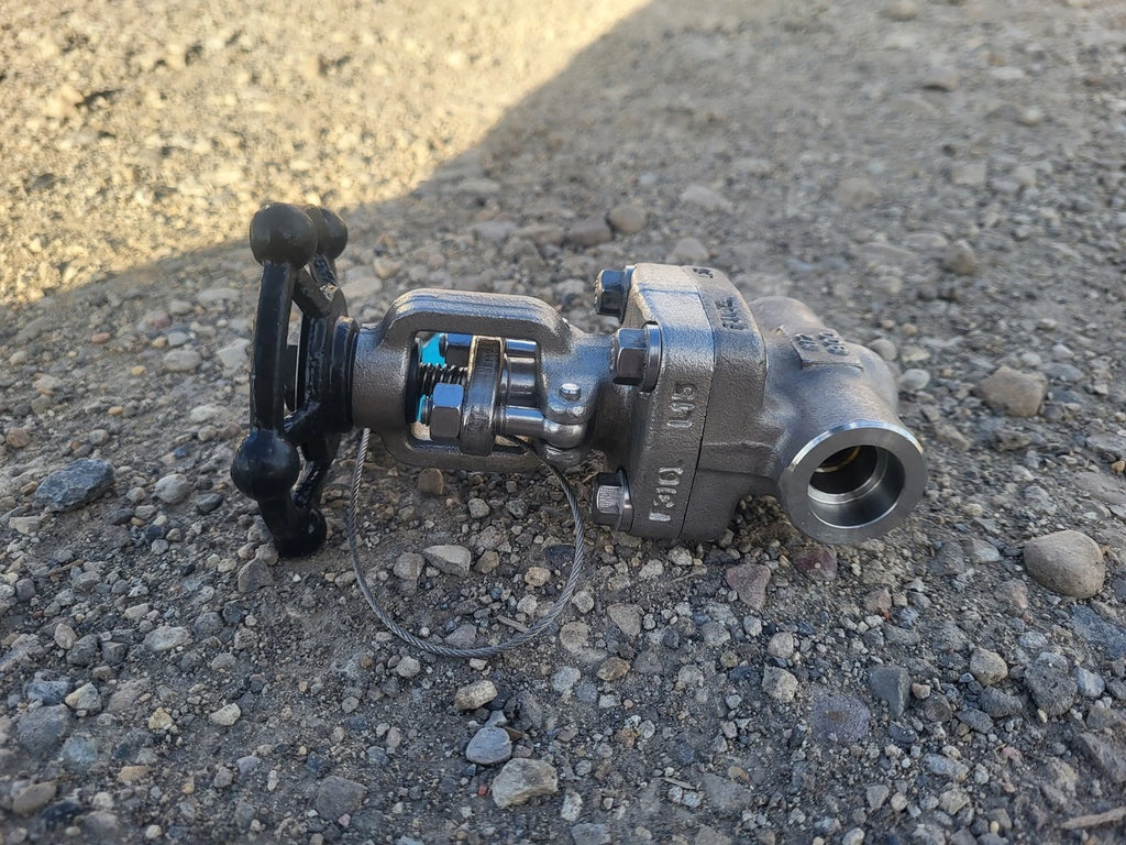 CHAODA 1/2" Class 800 Gate Valve API 602