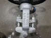 DHV 2" Class 300 Gate Valve B16.34