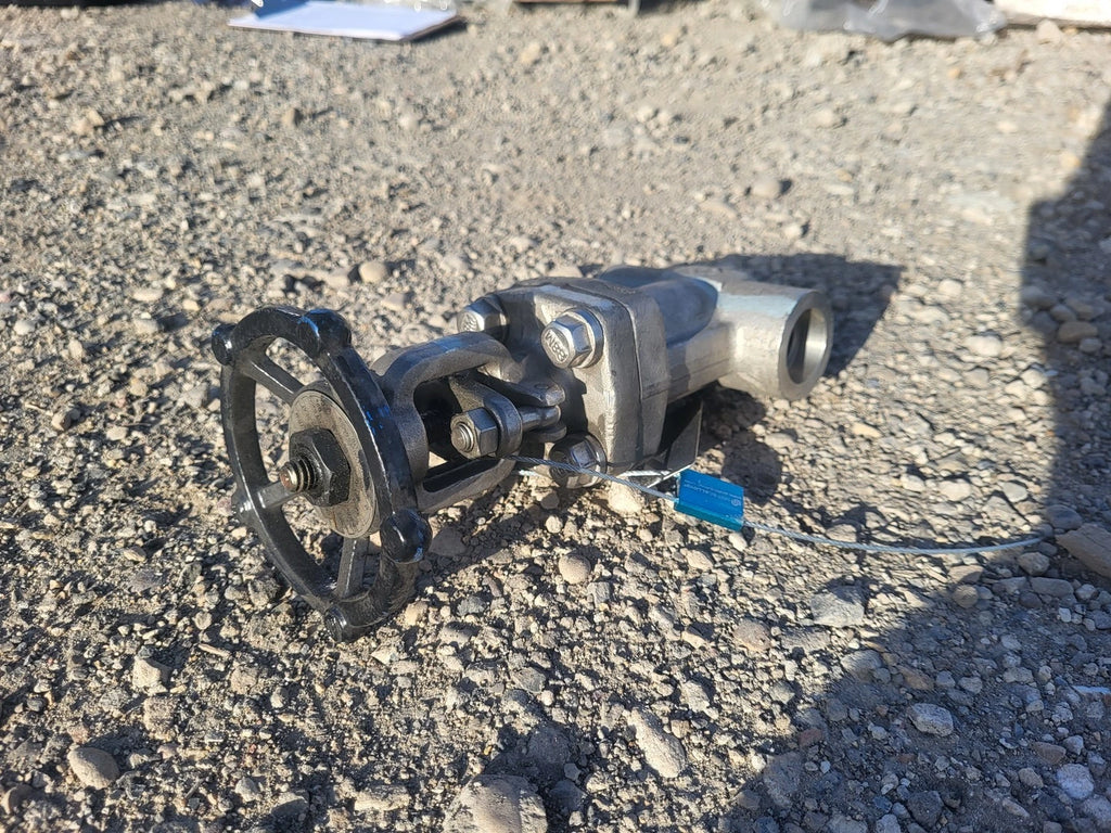CHAODA 1" Class 800 Globe Valve API 602