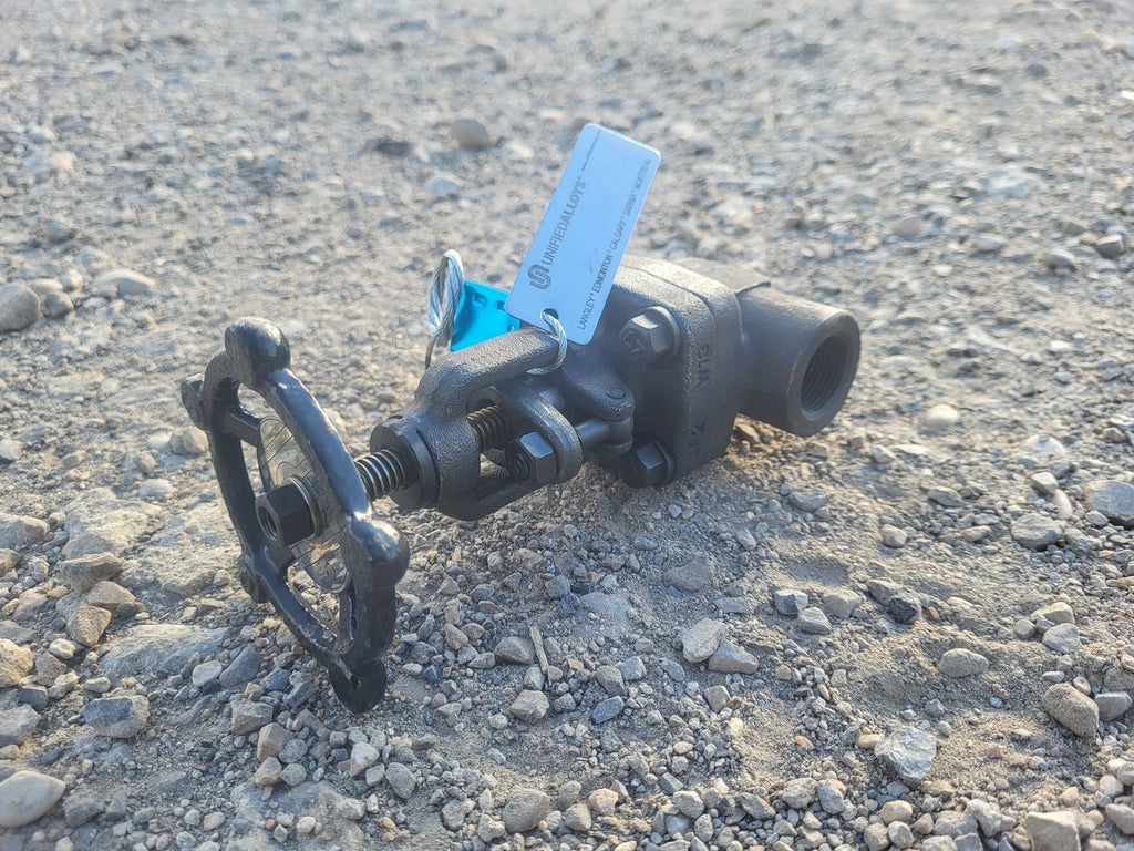 CHAODA 3/4" Class 800 Globe Valve API 602