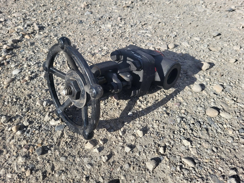 CHAODA 1" Class 800 Gate Valve API 602
