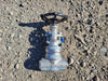 BONNEY FORGE 3/4" Class 800 Globe Valve B16.34