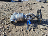BONNEY FORGE 3/4" Class 800 Globe Valve B16.34