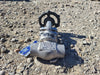 BONNEY FORGE 3/4" Class 800 Globe Valve B16.34