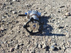 CHAODA 3/4" Class 800 Globe Valve API 602