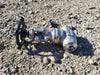 CHAODA 3/4" Class 800 Globe Valve API 602