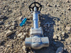 DSI VALVE 3/4" Class 1500 Gate Valve API 602
