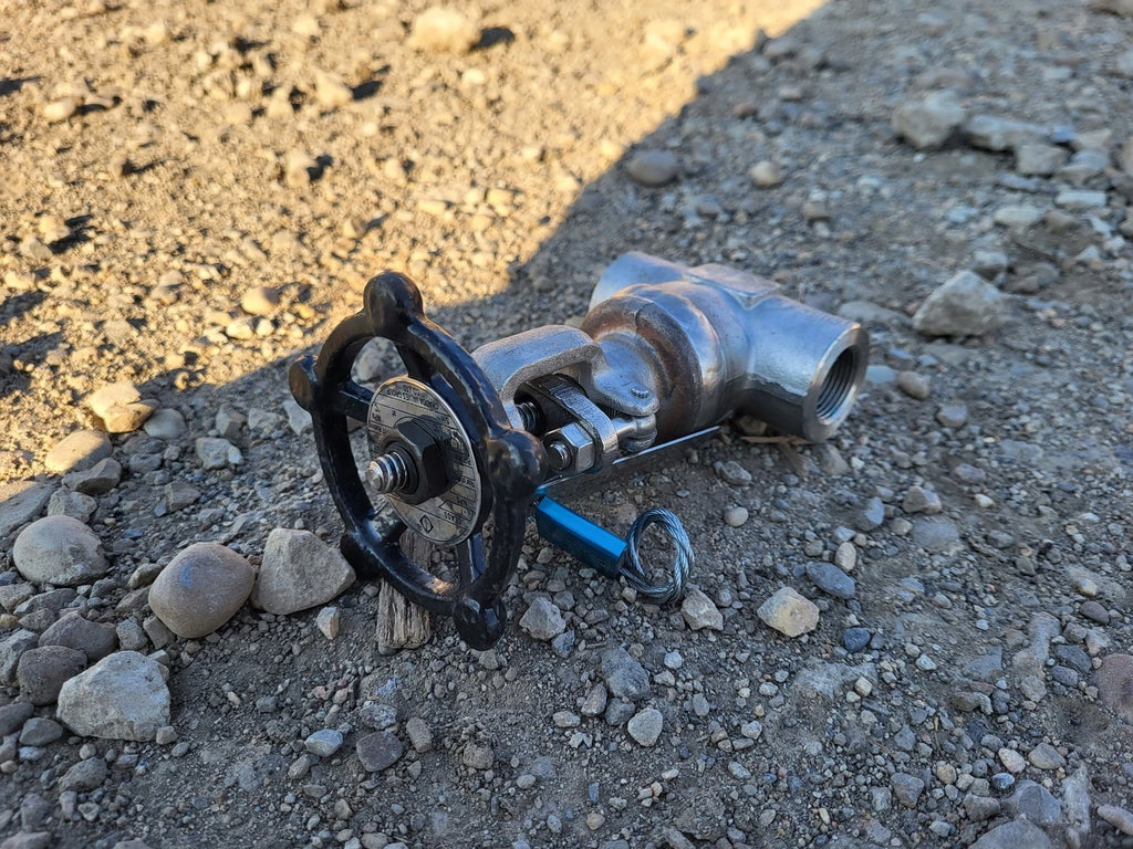 CHAODA 3/4" Class 800 Gate Valve API 602
