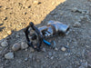 CHAODA 3/4" Class 800 Gate Valve API 602