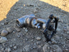 CHAODA 3/4" Class 800 Gate Valve API 602