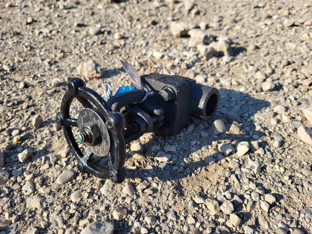 CHAODA 3/4" Class 800 Gate Valve API 602