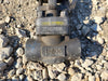 DHV 1" Class 800 Gate Valve API 602