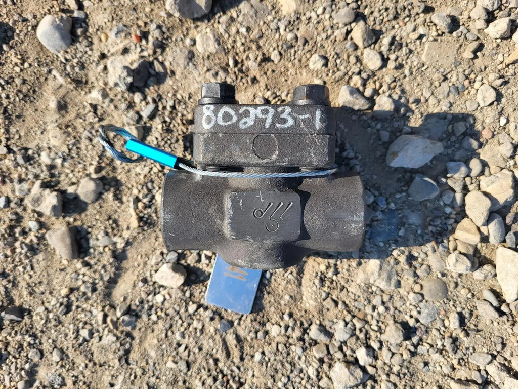 DSI VALVE 3/4" Class 800 Check Valve B16.34