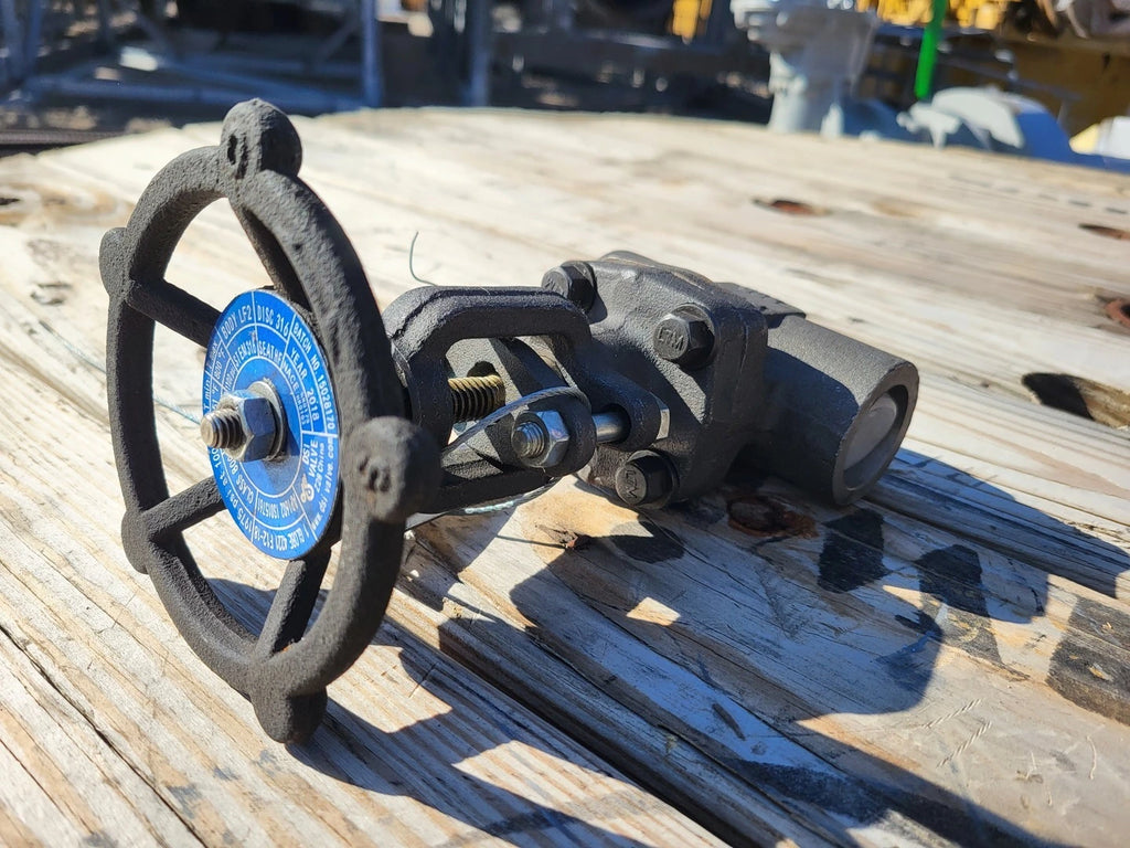 DSI 1" Class 800 Globe Valve API 602