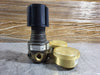 AIR LIQUIDE Pressure Regulator 4025501-24-000