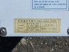 CHEN YING Electronic Lubricator Type CESD 110 V 1-ph