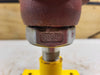 FARRIS ENGINEERING 1/2" x 1" Pressure Relief Valve 27DA13-M20