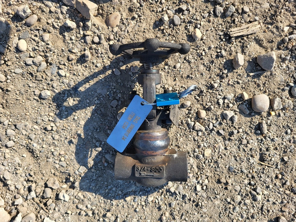 DHV 3/4" Class 800 Globe Valve API 602
