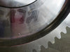 AMER Helical Gear 15 Teeth 000709 00151 for Scalping Screen