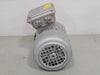 NORD 1/4 hp, 230/460 volts, 1680 rpm, 3ph, Electric Motor Type SK 63L/4CUSTF